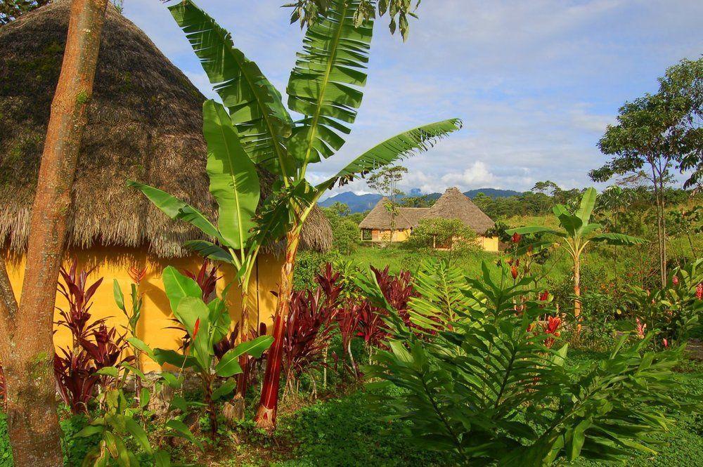Huasquila Amazon Lodge Cotundo Exteriér fotografie